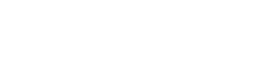 light logo